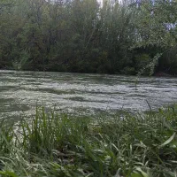 اجاره روزانه ویلا ۶۰۰ متری در باغ بهادران