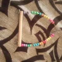 بازی پرندگان