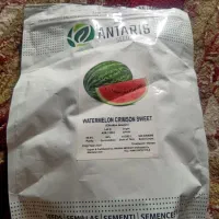 برز هندوانه وشمام|گل و گیاه طبیعی|شیراز, کرونی(خاتونک)|دیوار