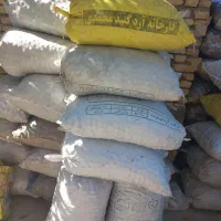 باسلام گردوبصورت عمده بفروش میرسدفقط تماس باتخفیف|عمدهفروشی|اردل, |دیوار