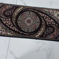 دو عدد جلودری نو