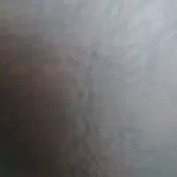 شناسنامه گم شده