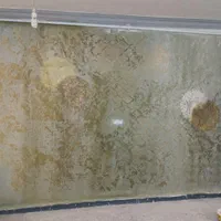 رنگ آمیزی ساختمان و اجرای پتینه دکوراتیو|خدمات پیشه و مهارت|اهواز, گلستان|دیوار