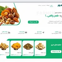 طراحی وبسایت (فعال با اینترنت داخلی)