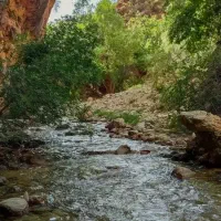 تور جذاب تنگ خرسی،یک روز ناب در دل طبیعت