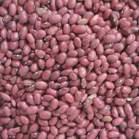 فروش لوبیا قرمز تجاری وبذر