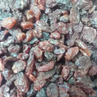 کشمش بیدانه آفتابی تاکستان پاک شده