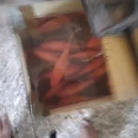 بزرگ|ماهی|زرند, |دیوار