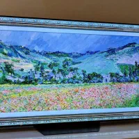 اولد ۶۵ اینچ ال جی وارداتی oled LG|تلویزیون و پروژکتور|تهران, سازمان برنامه جنوبی|دیوار