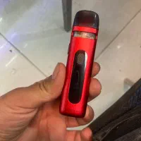 پاد نو