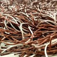 فرش ترک ۴ متری«زیر قیمت»