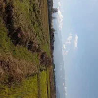 فروش زمین کشاورزی|فروش دفتر صنعتی، کشاورزی، تجاری|فومن, |دیوار