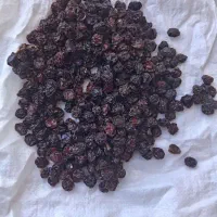 آلوچه خشک(هلوژه)