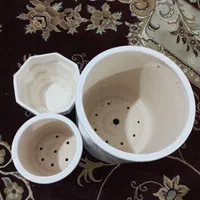 تعداد دو عدد گلدان نوو دوتا گلدان کوچیک استفاده شد|گل و گیاه طبیعی|اهواز, کوی رمضان|دیوار