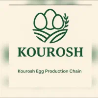 استخدام خانم در بخش بسته بندی تخم مرغ(کوروش سبز)