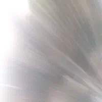 لبو بو