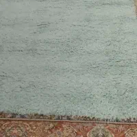 قالیچه  تدی بسیارنرم وگوشتی نونونو آکبند