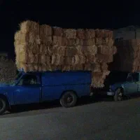 پرس گندم شمال|عمده‌فروشی|آبکوه, |دیوار