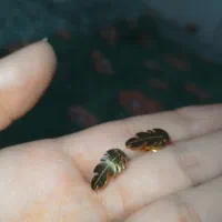 بدلی جات|بدلیجات|شاهرود, |دیوار