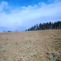 فروش فوری زمین.  ساری دودانگه  روستای پارت کلاه
