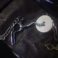 اسب دهنه