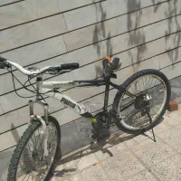 دوچرخه حرفه ای