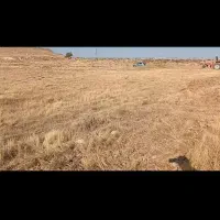 فروش زمین|فروش زمین و ملک کلنگی|طالقان, |دیوار