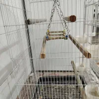 فروش قفس|لوازم جانبی حیوانات|قم, شهر قائم|دیوار