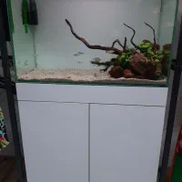 آکواریوم ریملس ۱۰ میل در حد نو|ماهی|شهریار, شهرک بهاران (ویره)|دیوار