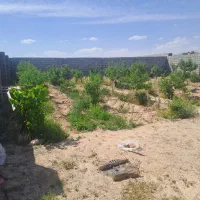 باغ|فروش خانه و ویلا|نجف‌آباد, حومه نجف آباد|دیوار