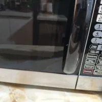 ماکروفرگاسونیک