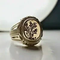 قدر زر زرگر شناسد، قدر گوهر گوهری