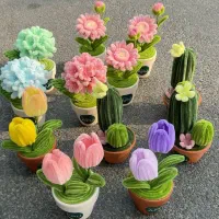 گل مخملی پینترستی ، گلدون ، شکوفه|گل مصنوعی|مشهد, رده|دیوار