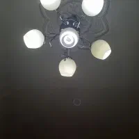 لوستر
