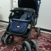کالسکه دلیجان