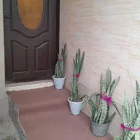 اجاره روزانه/هفتگی/ماهانه آپارتمان ۵۰ متری