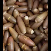 بلوط|خوردنی و آشامیدنی|گوآور, |دیوار