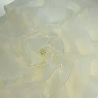 کیف شاباش عروس