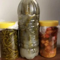 ترشیجات