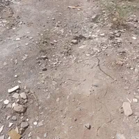 فروش  10 قصب زمین مسکونی عنبراباد|فروش زمین و ملک کلنگی|عنبرآباد, |دیوار