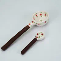 قاشق ادویه و آجیل سرامیکی گلکار