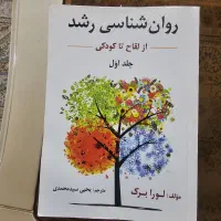 روان شناسی رشد لورابرک