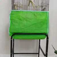 عروس هلندی