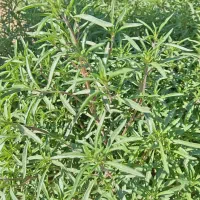 نیازمند وام فوری 30 ملیونی