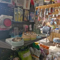 واگذاری پت شاپ|فروشگاه و مغازه|اصفهان, باغ دریاچه|دیوار