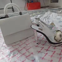 کیف و کفش مجلسی