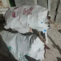 سه گونی هیزم