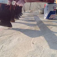 شش خیش|ابزارآلات|دیواندره, |دیوار