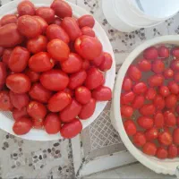 رب گوجه پخت خانگی سفت بدون تخم بدون نیاز به یخچال|خوردنی و آشامیدنی|شیراز, شاه قلی بیگی|دیوار