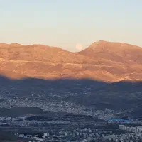 مهاجرت و تور
